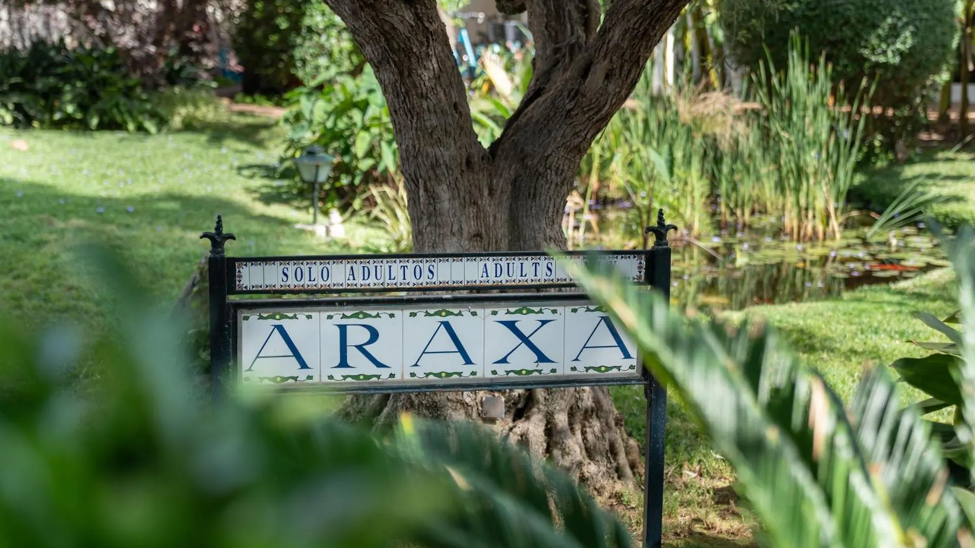 Hotel Araxa - Adults Only Palma de Mallorca