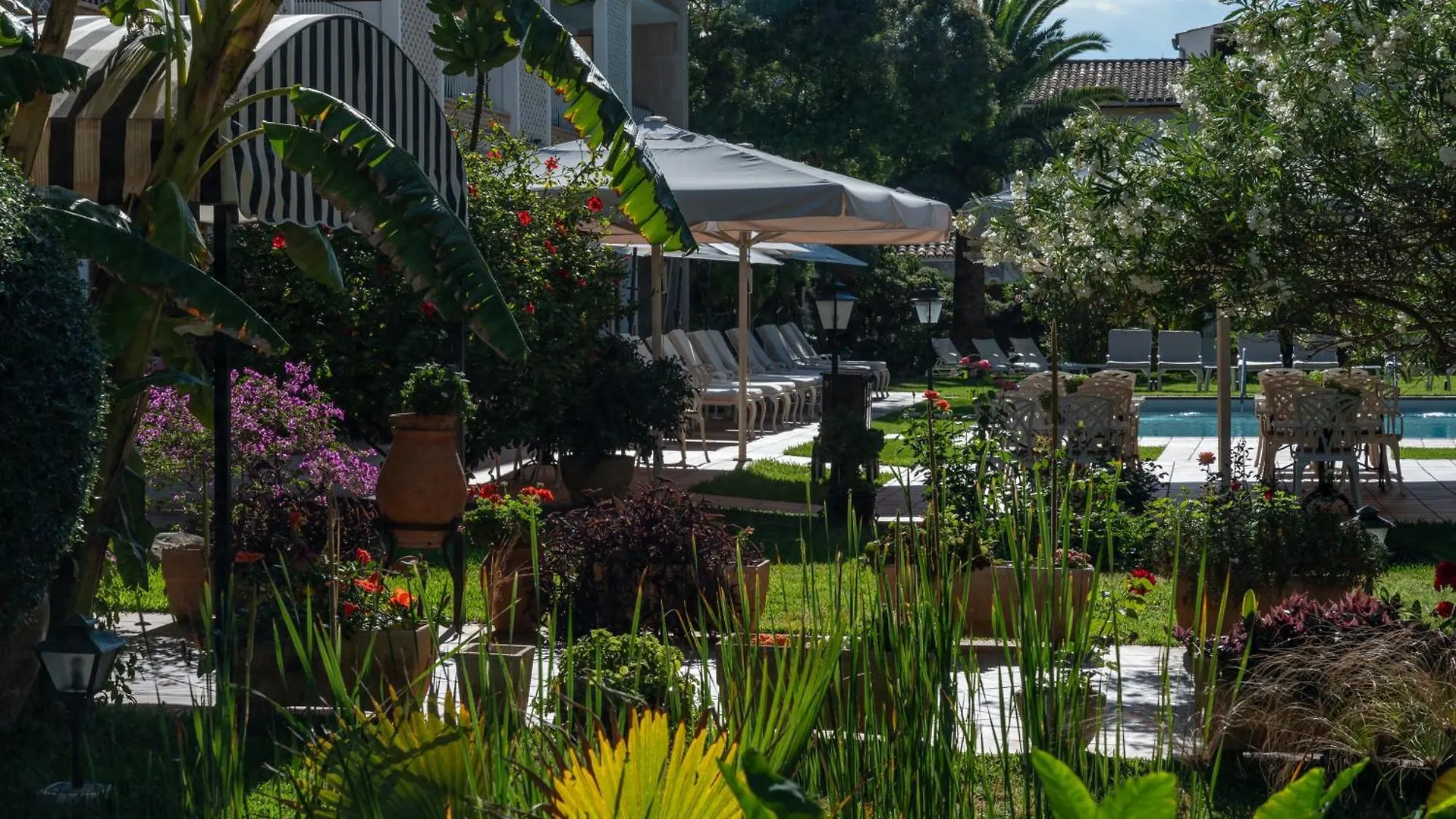 Hotel Araxa - Adults Only Palma
